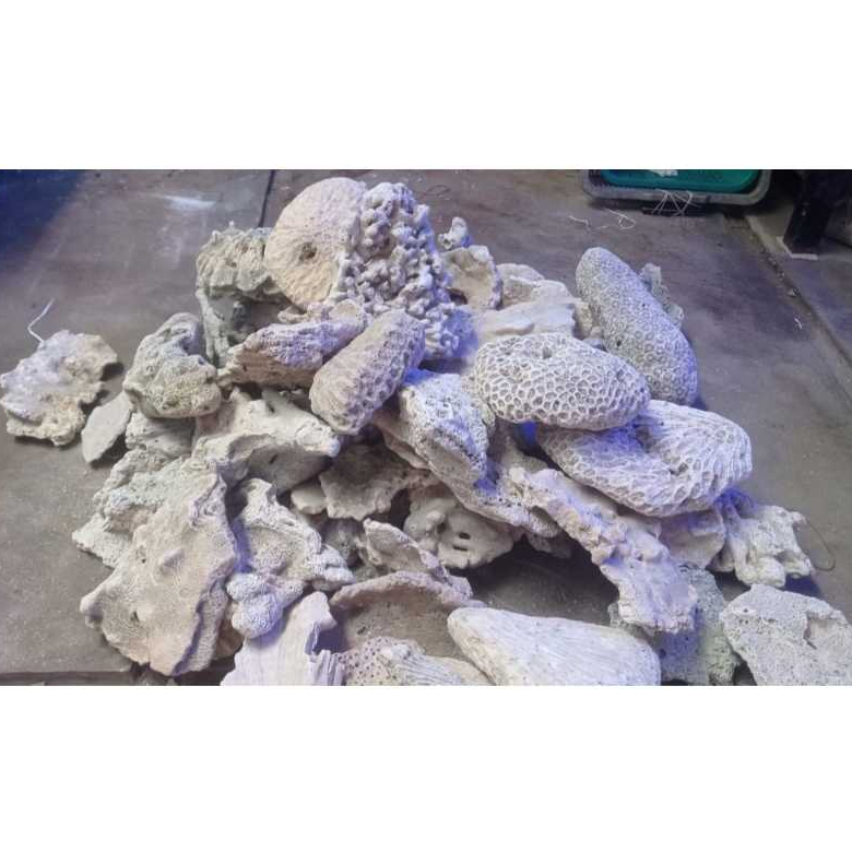 BATU KARANG DEKOR/ BAHAN SCAPING DEAD ROCK