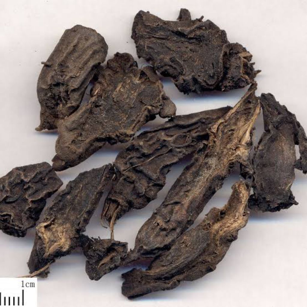 

Cao Wu Pian/Wu Tou Pian/Radix Anconiti Agrestis