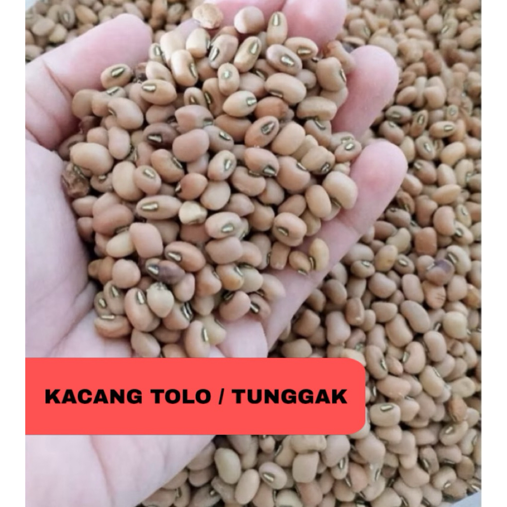 

Kacang Tolo | Kacang Tunggak | 1 KG |