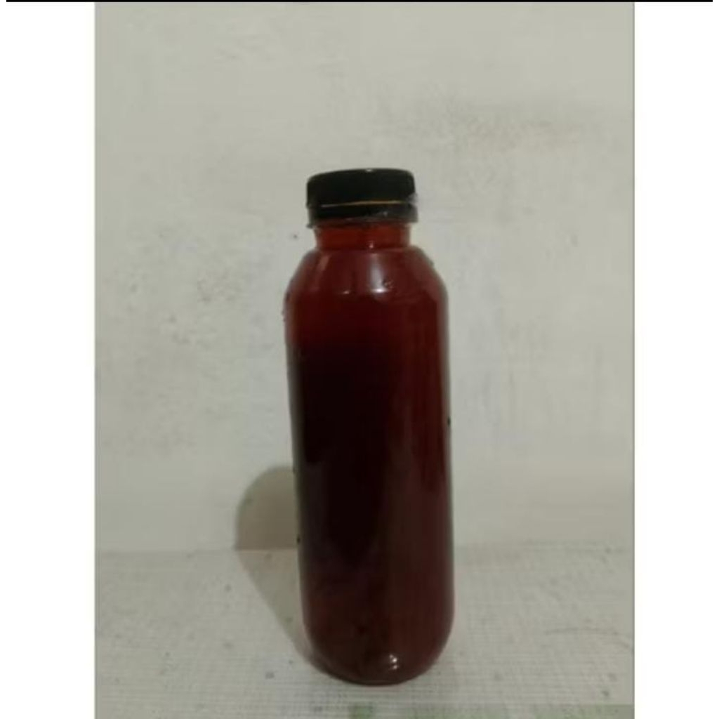 

ekstrak daun Ketapang