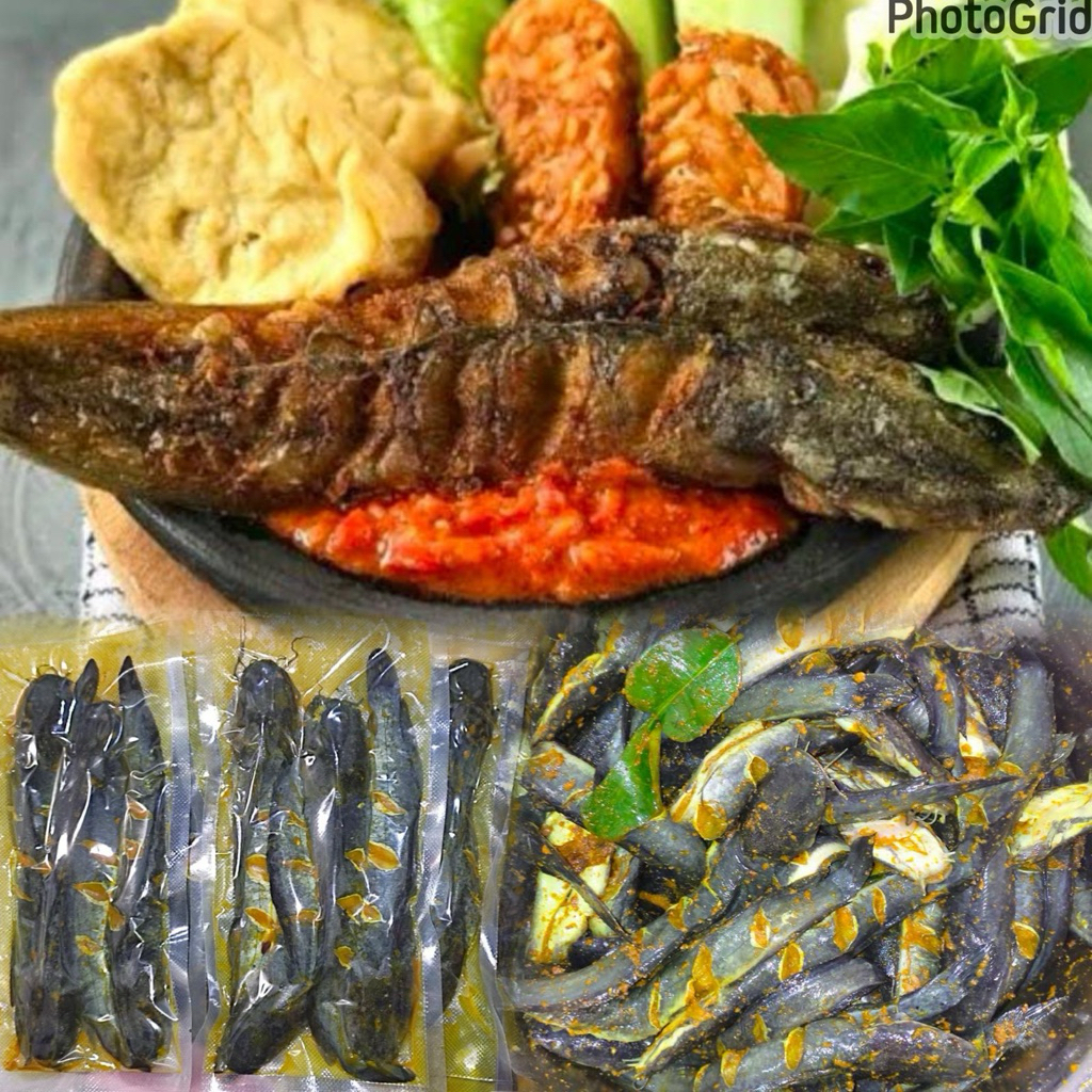 

GROSIR IKAN LELE BUMBU SIAP GORENG 450 GRAM