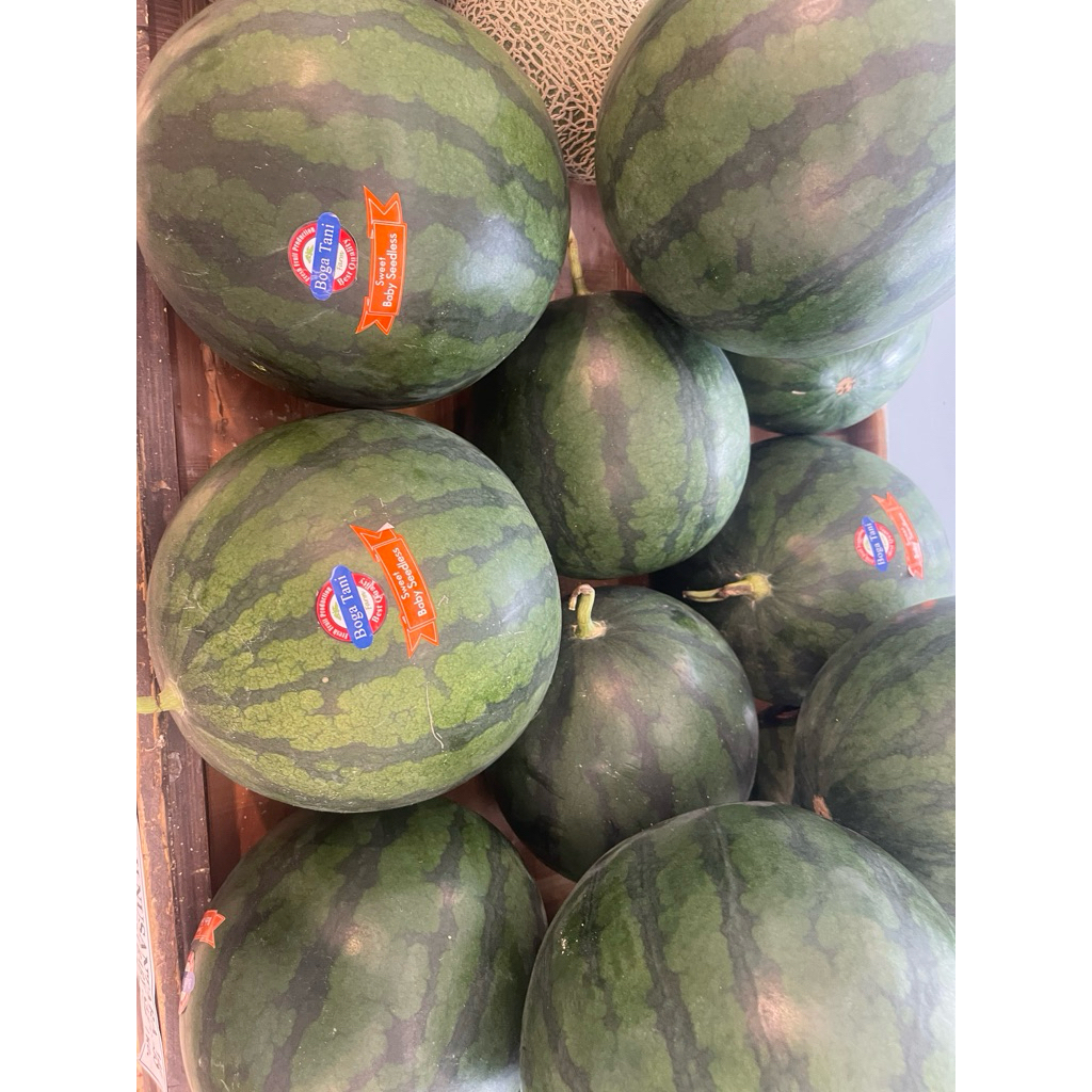 

Semangka Merah Boga Tani Super Jumbo Fresh 4kg