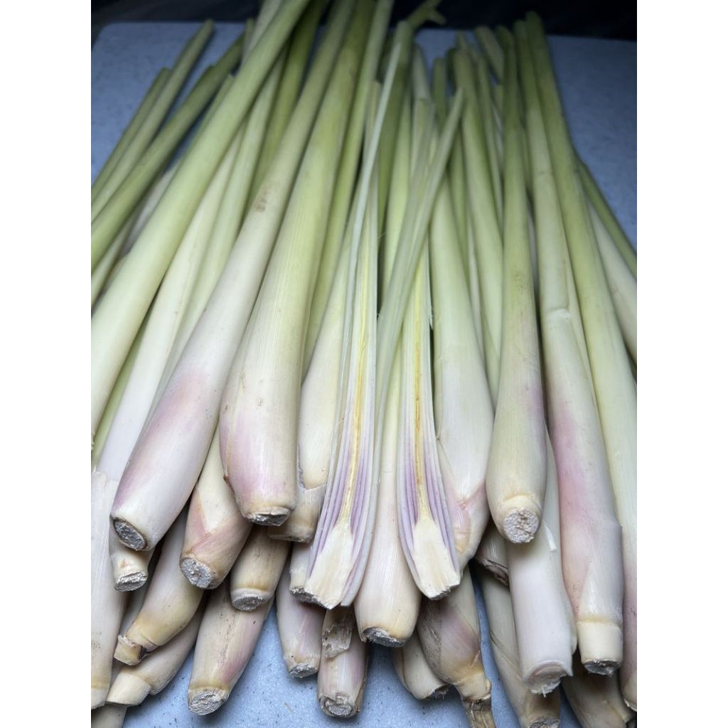 

Sereh daun wangi cocok untuk bumbu masakan dan lainnya size 1kg