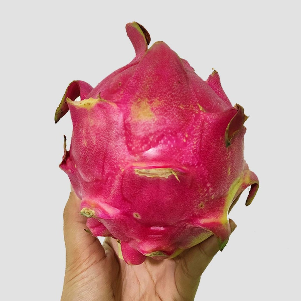 

Buah Naga Segar 500g Siap Makan