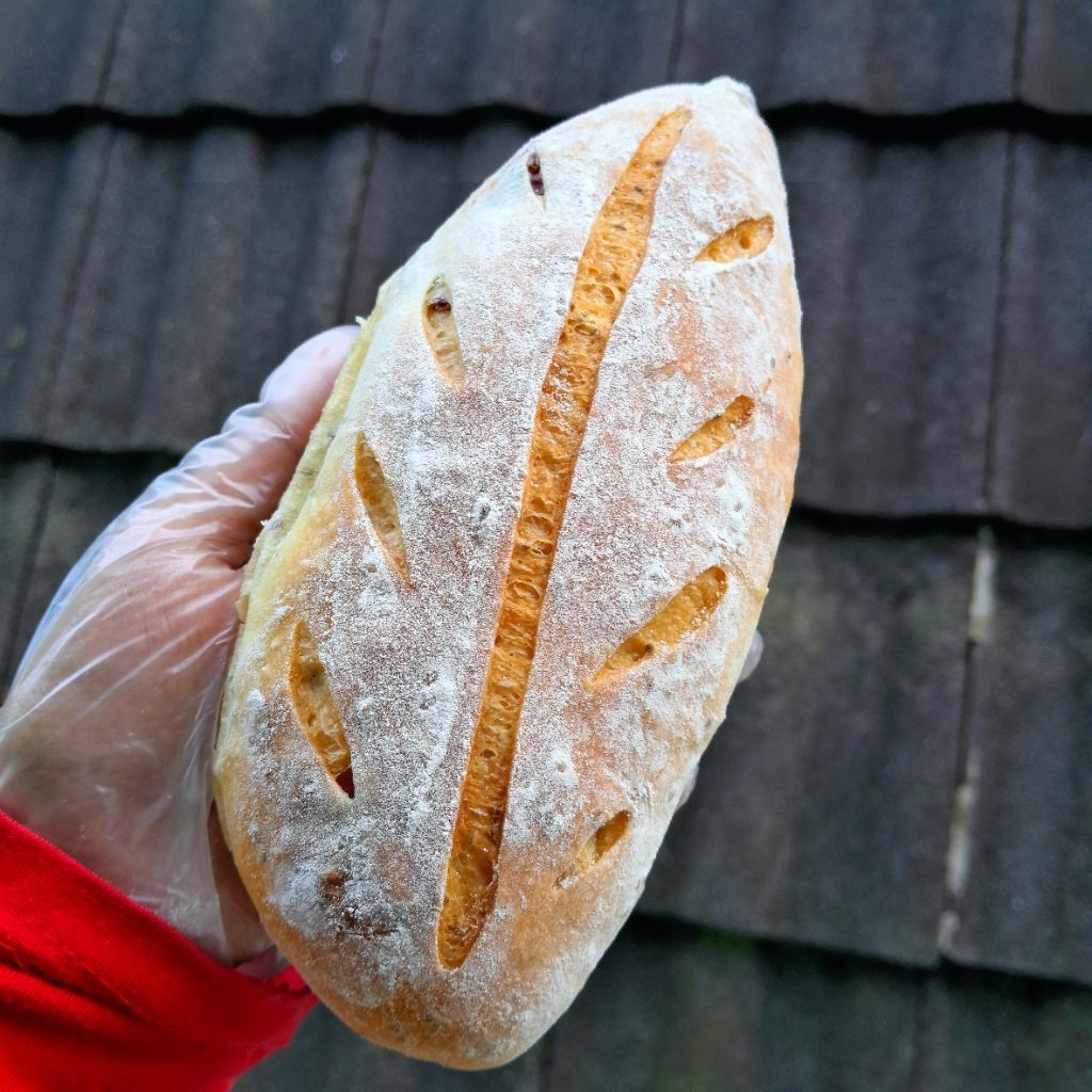 

Roti Cranberry Cheese Sourdough (2pcs)