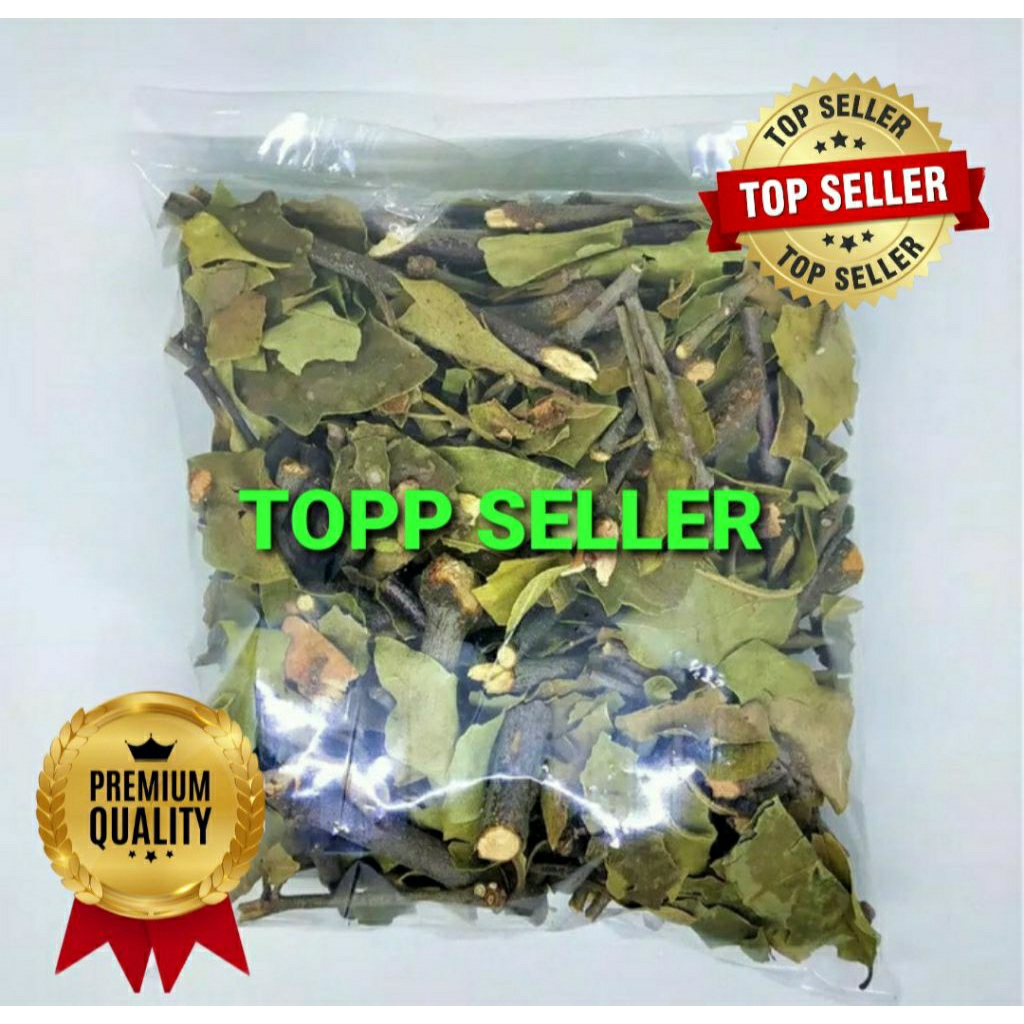 

Benalu Jeruk 1000 Gram ranting dan daun Kwalitas Terbaik