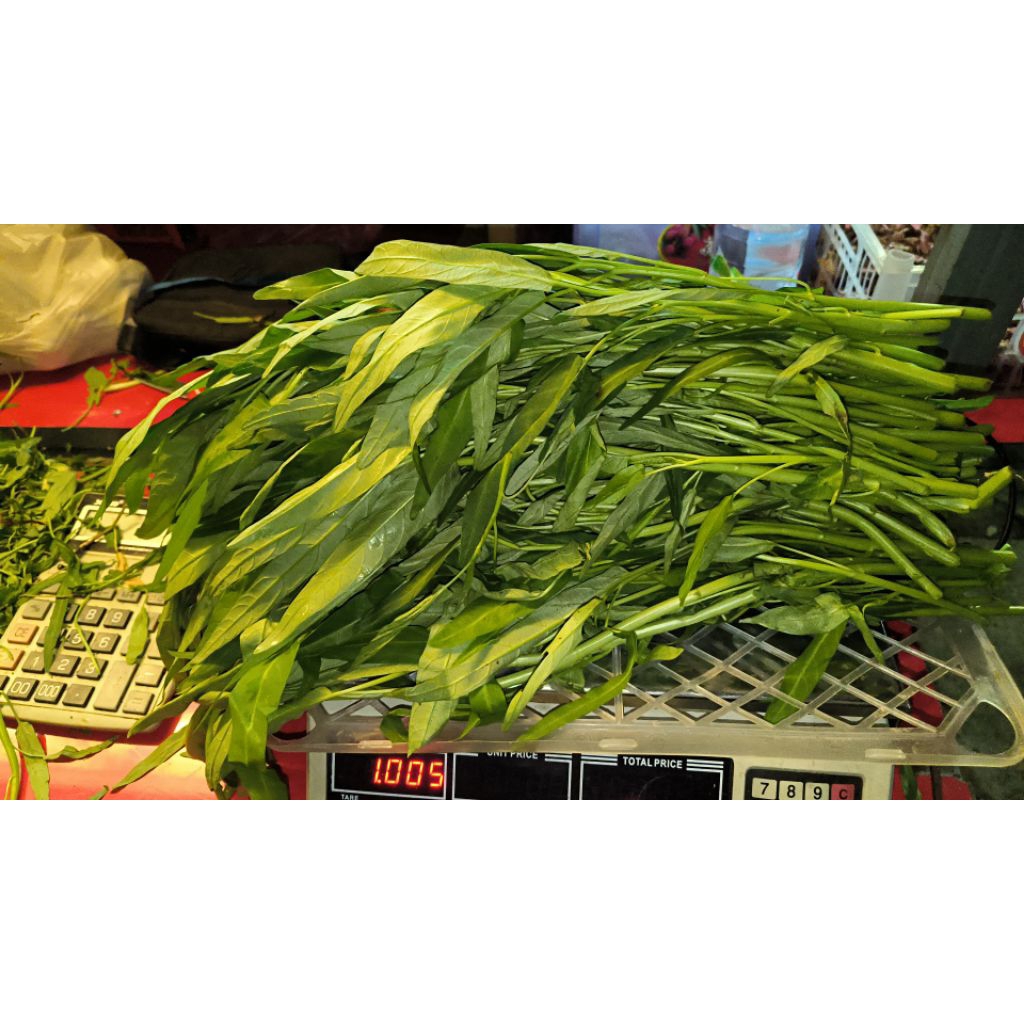 kangkung 1kg