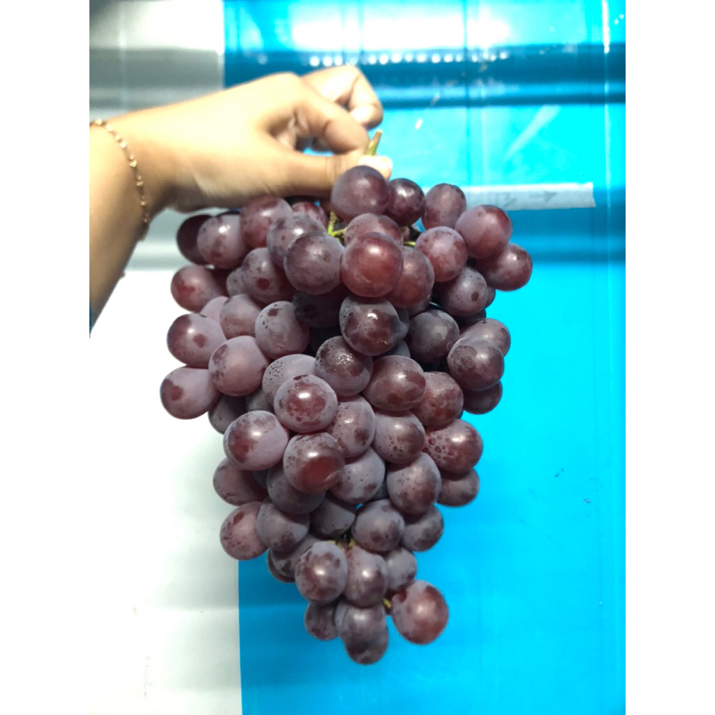 

Anggur Red Globe China Yuji /kg