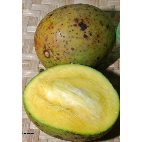 

Buah Pakel Atau Buah Limus Segar / Buah Segar