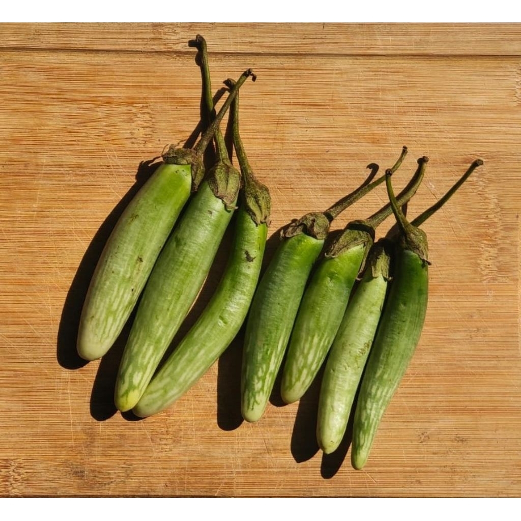 

Terong Medan Papapangan - 250 Gram