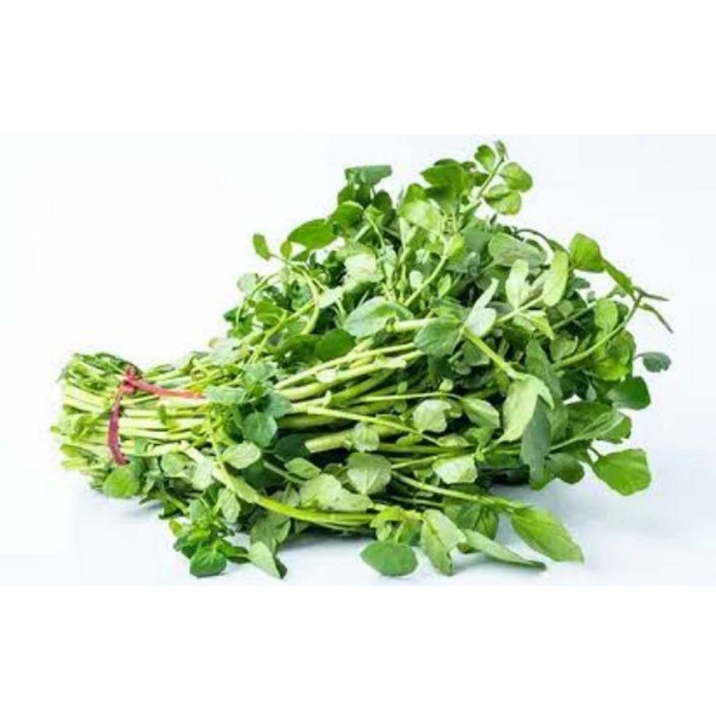 

Daun Selada Air Segar 1 Ikat