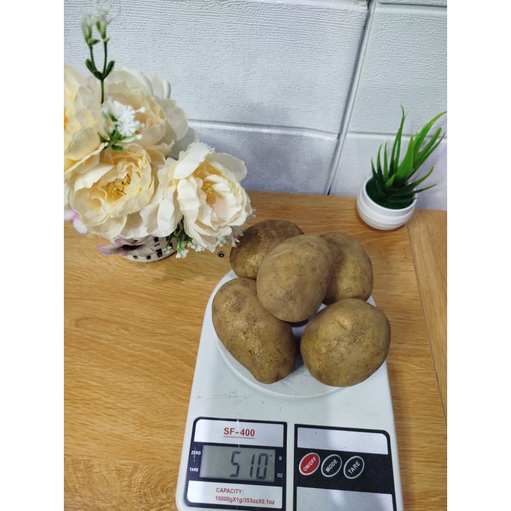 

Terlaris Kentang Dieng segar 500 gram