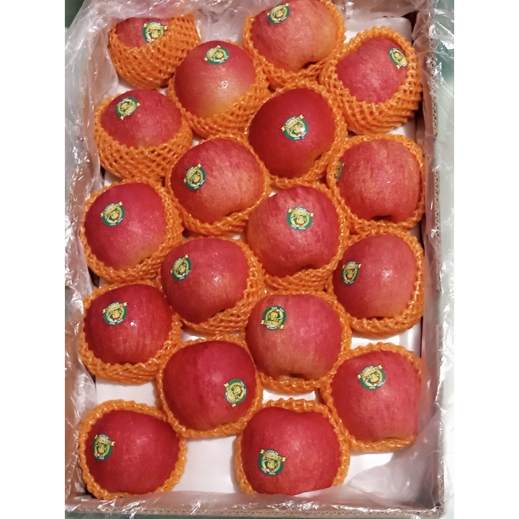 

Apel Gala/ Asam Manis