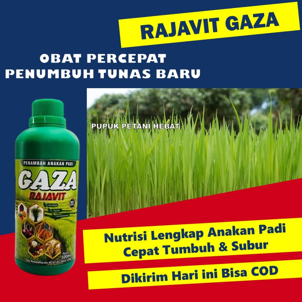Pupuk NPK Cair Rajavit 500ml untuk Padi | Tingkatkan Anakan Padi & Kualitas Panen | Pupuk Daun Cair 