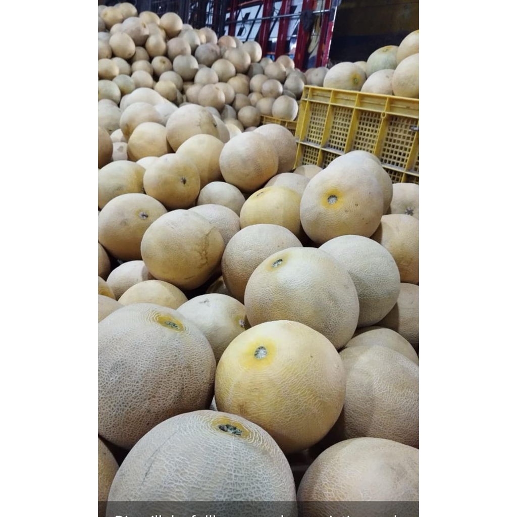 

Melon Hijau/ Fresh/Manis/berat 2kg
