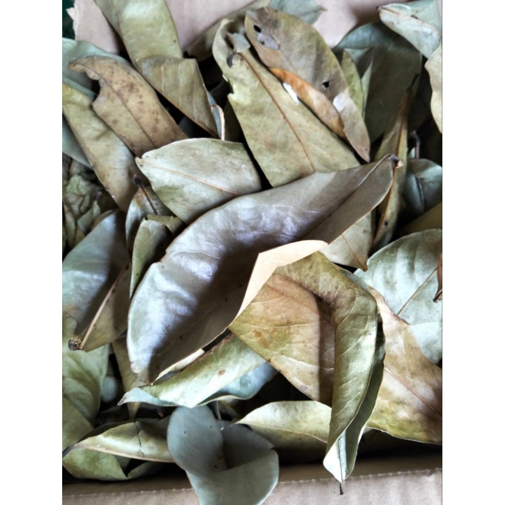 

Daun Sirsak Kering 500 Gram