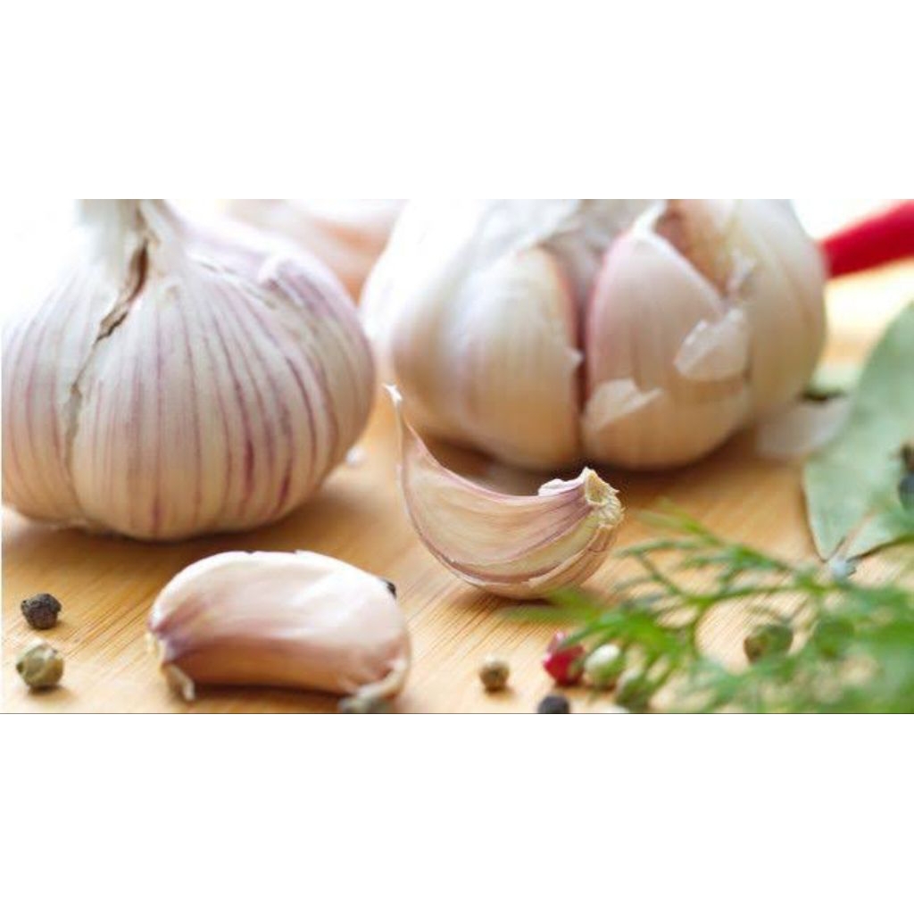 

Promo " Bawang Putih Berkualitas ½ Kg