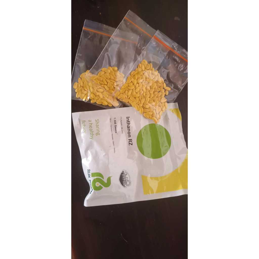 Inthanon Rz Benih Repack 20 Seed