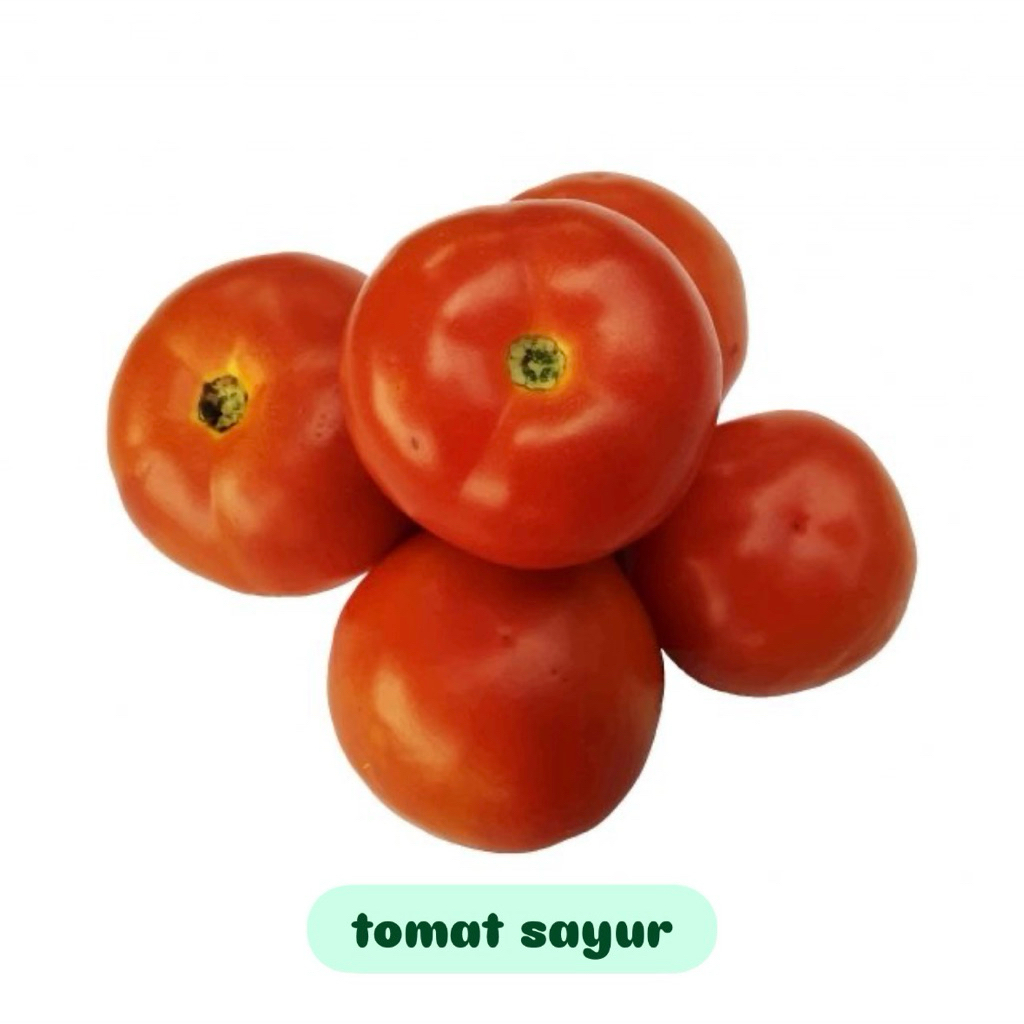 

Tomat sayur fresh 250gr/500gr/1kg