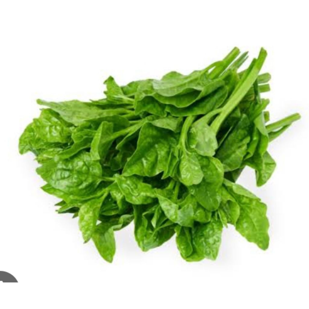 

Sayur Raja hijau segar