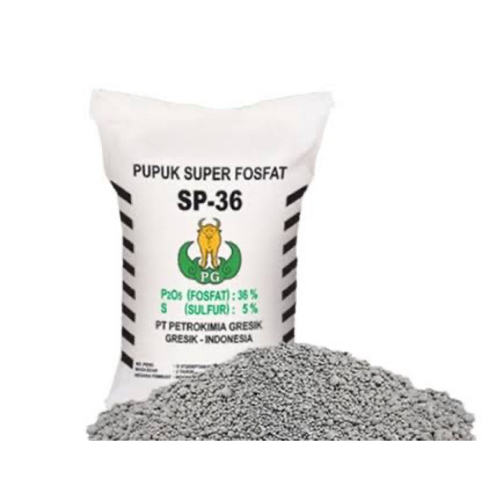 Pupuk TSP 50 Kg, Pupuk Super Fosfat SP 36, Pupuk TS kemasan repack