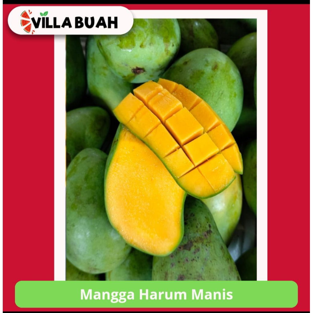 

Mangga Harum Manis (1 kg)