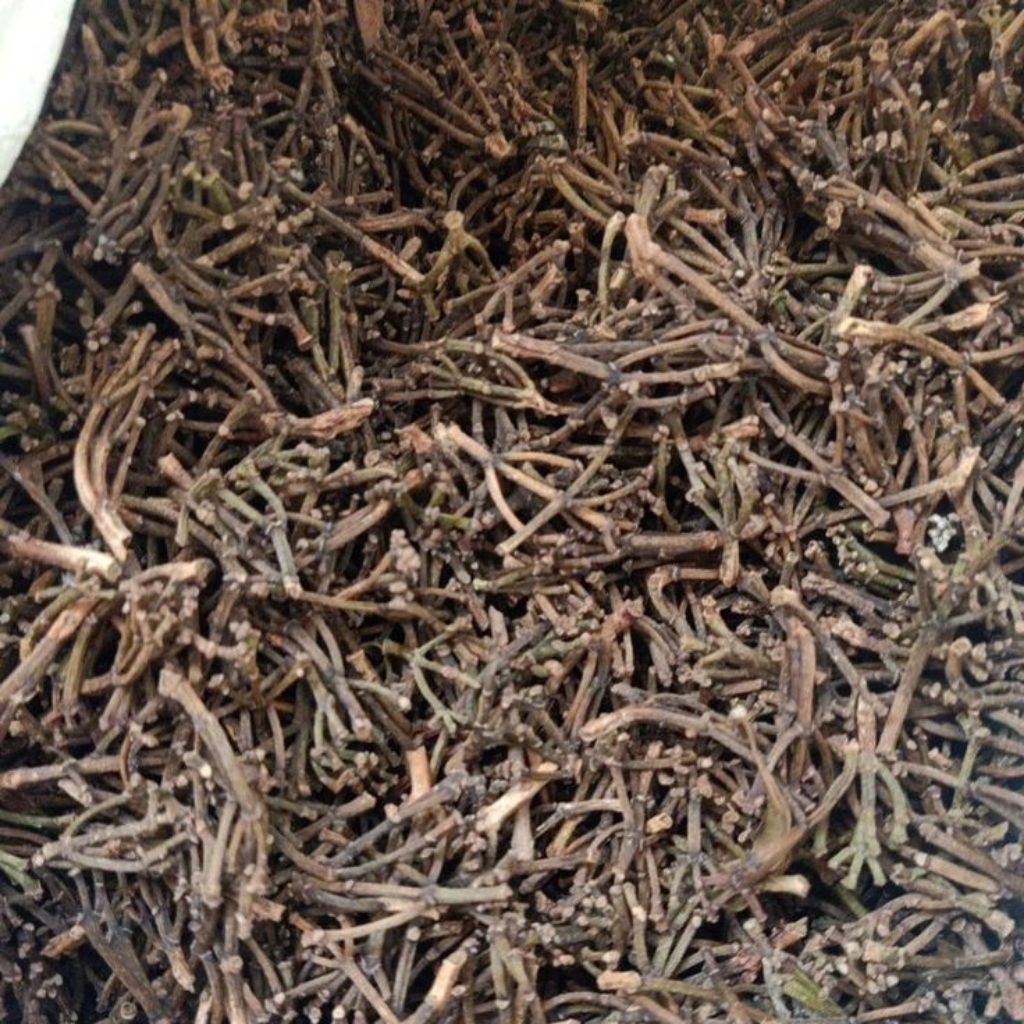 

Gagang Cengkeh Super Herbal Organik