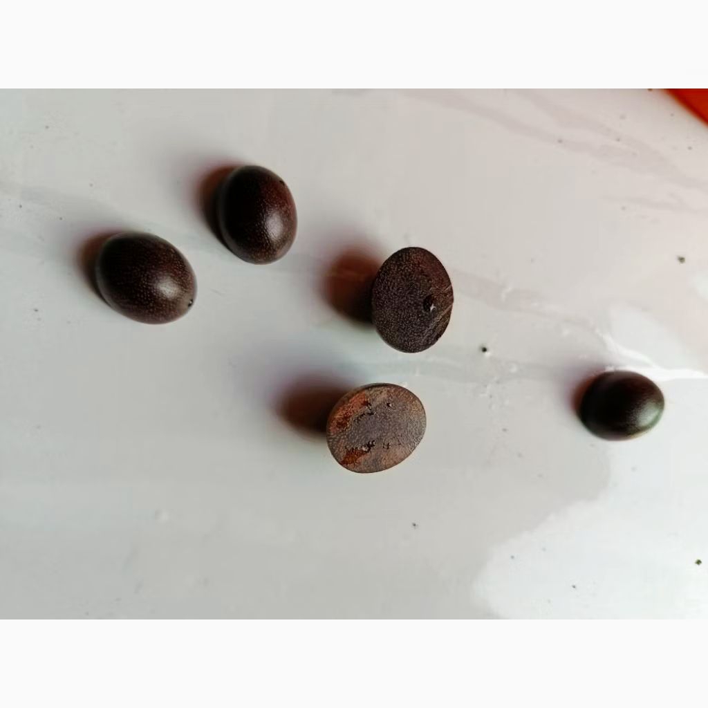 Mata Cincin Kayu Galih Asem Jawa Original Terbaik