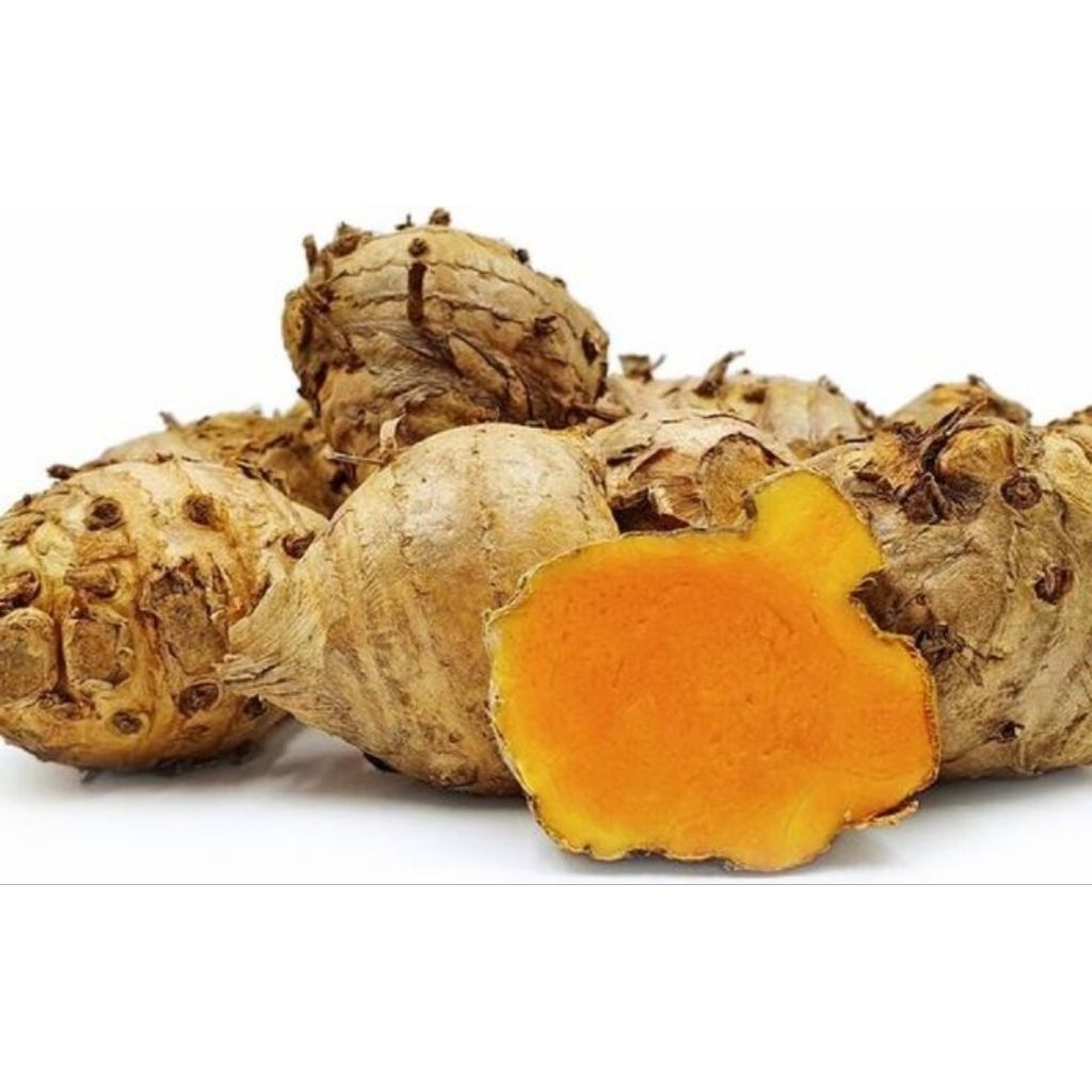 

Temulawak Iris Kering Organik Herbal Super