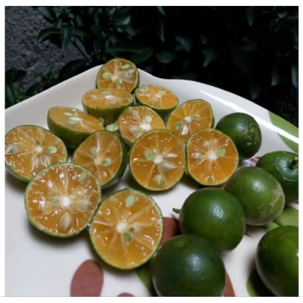 

asam casturi/jeruk kasturi fresh