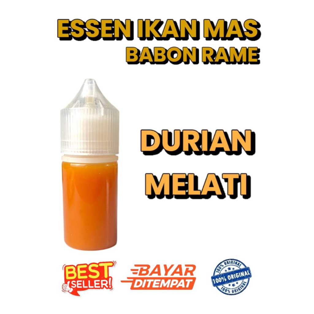Essen Durian Melati Ikan Mas Babon Rame Terlaris, Essen Ikan Mas Harian Galatama Paling Gacor, Essen