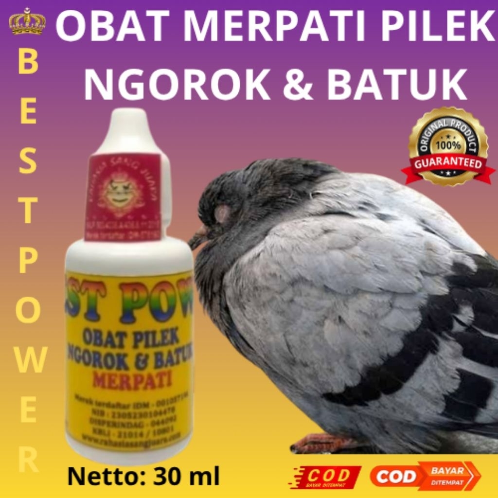 obat merpati pilek,ngorok dan batuk mujarab 100%