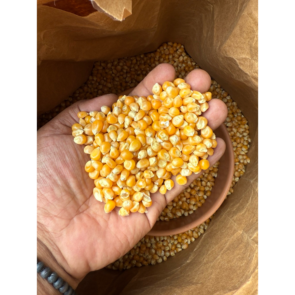 

Jagung Popcorn Mentah 1Kg