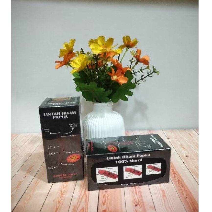 minyak lintah hitam