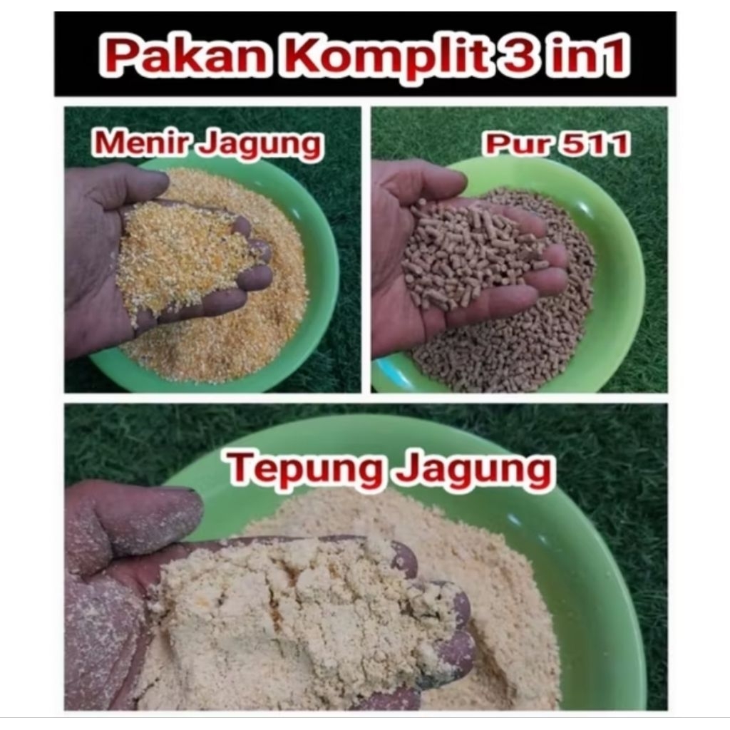 Pakan ayam bebek burung pakan komplit