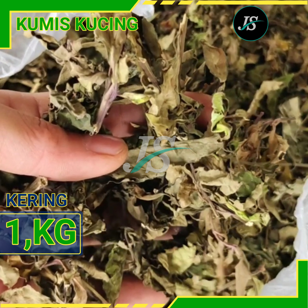 

Daun Kumis Kucing Kering ( 1KG ) Kumis Kucing Kering / Tanaman Kumis Kucing