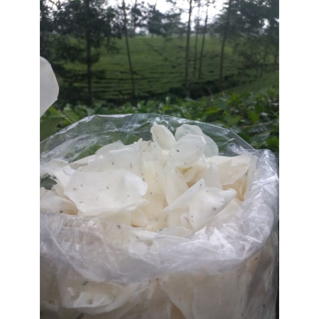 

KRUPUK SINGKONG, OPAK KOIN 1 KG HARGA 20000