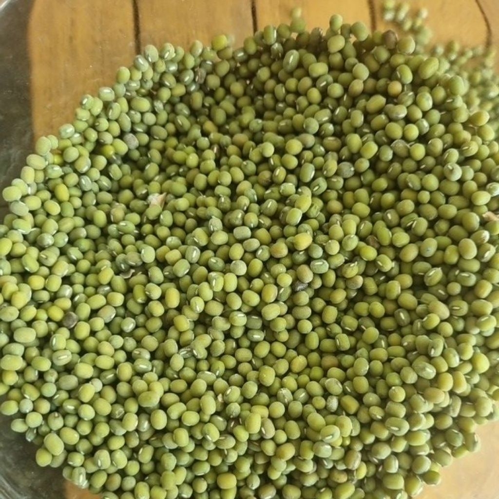 

KACANG HIJAU/IJO TERMURAH BERKUALITAS | BIBIT | BUBUR | TOGE I 1 KG I 500 GR I 250 GR