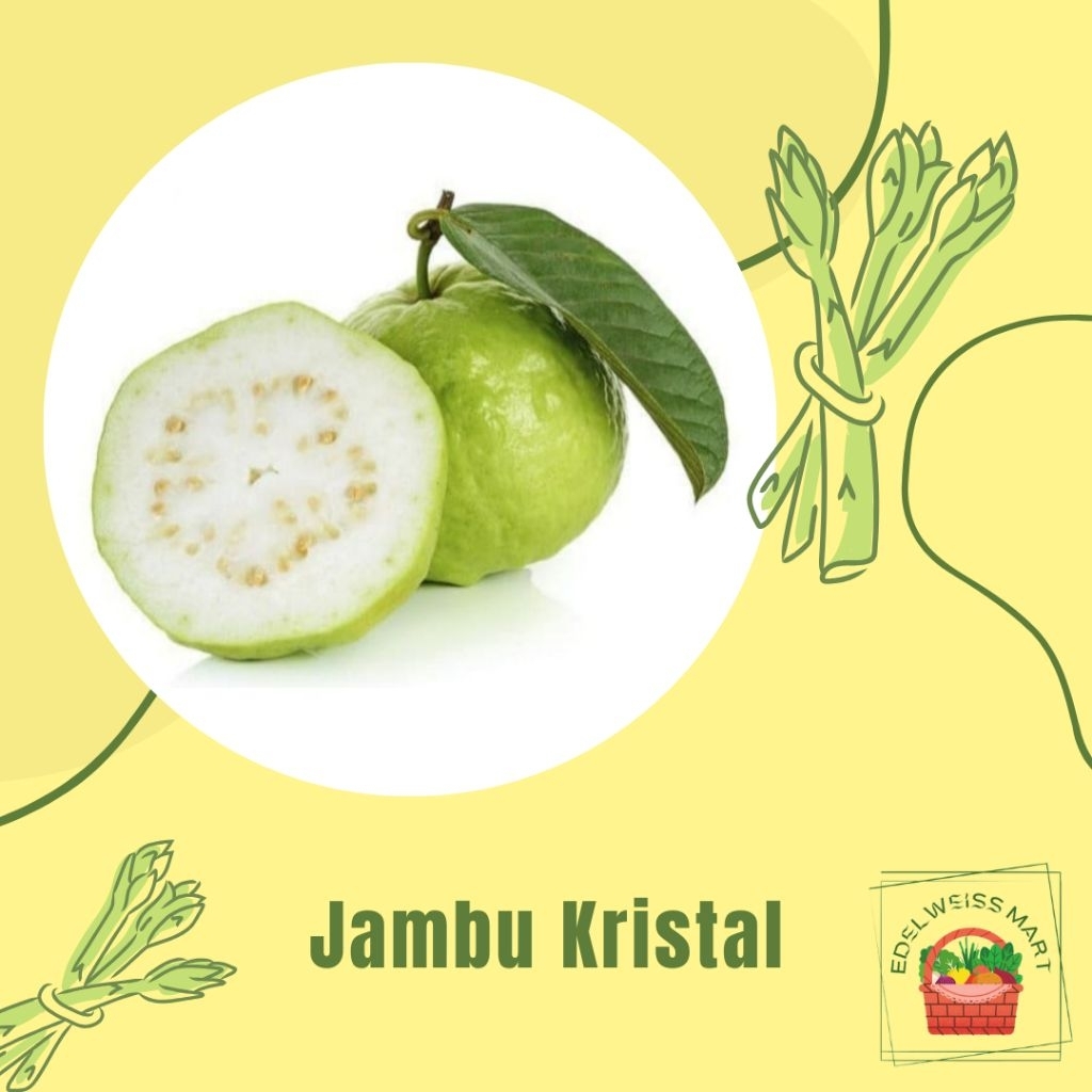 

JAMBU KRISTAL 500g - INSTANT SEMARANG