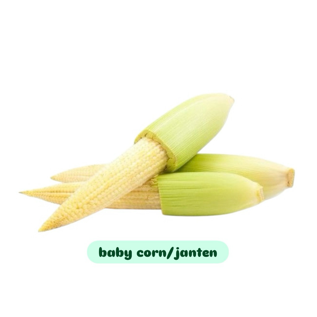 

Baby corn / janten fresh per pack 175gram