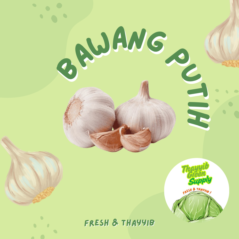

BAWANG PUTIH KATING 1 KG - THAYYIB GREEN SUPPLY