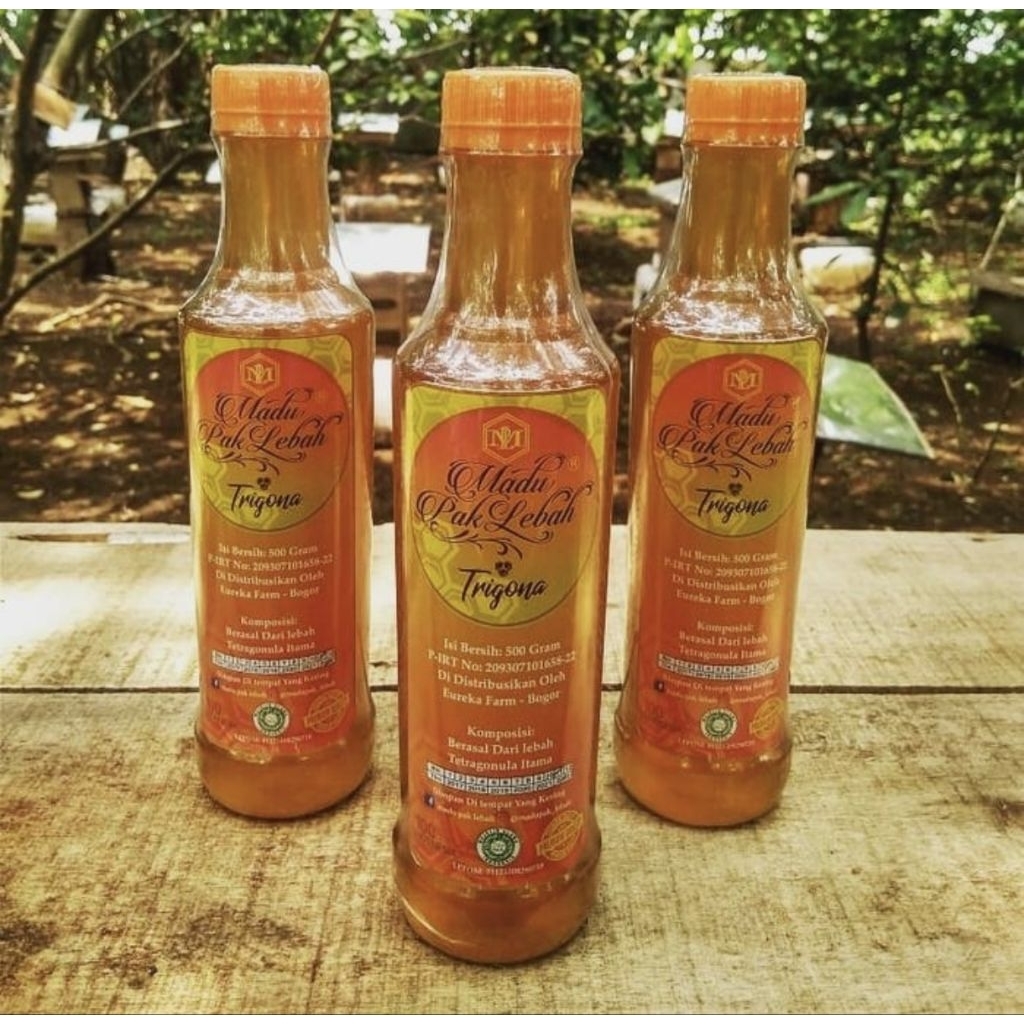 

MADU Pak Lebah, Trigona/Klenceng/Teweul