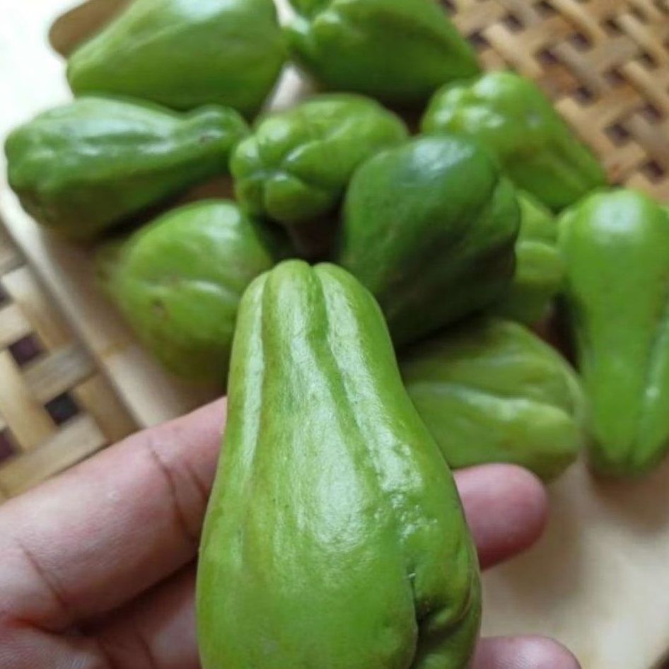 

labu Siam Beby/acar 1kg fresh