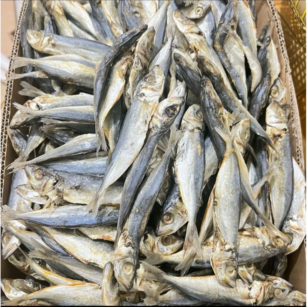

ASIN LAYANG/ IKAN ASIN PEDA BULEUD KUALITAS PREMIUM