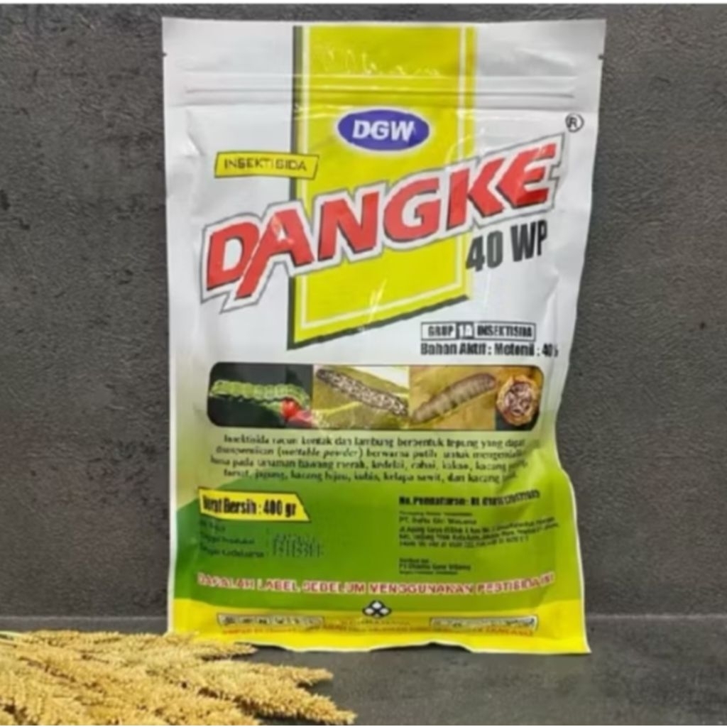 DANGKE 400 GRAM