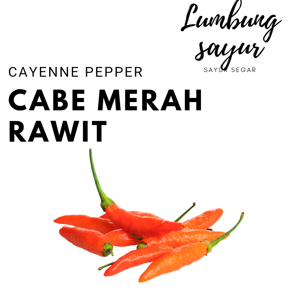 

[Sayur Lumbung] Cabe Rawit Merah Segar Berkualitas