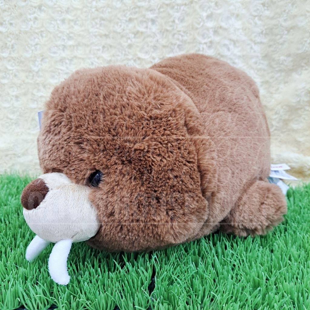 Boneka Lying Walrus AUR Boneka Gembul Walrus Coklat Boneka Tiduran Walrus coklat