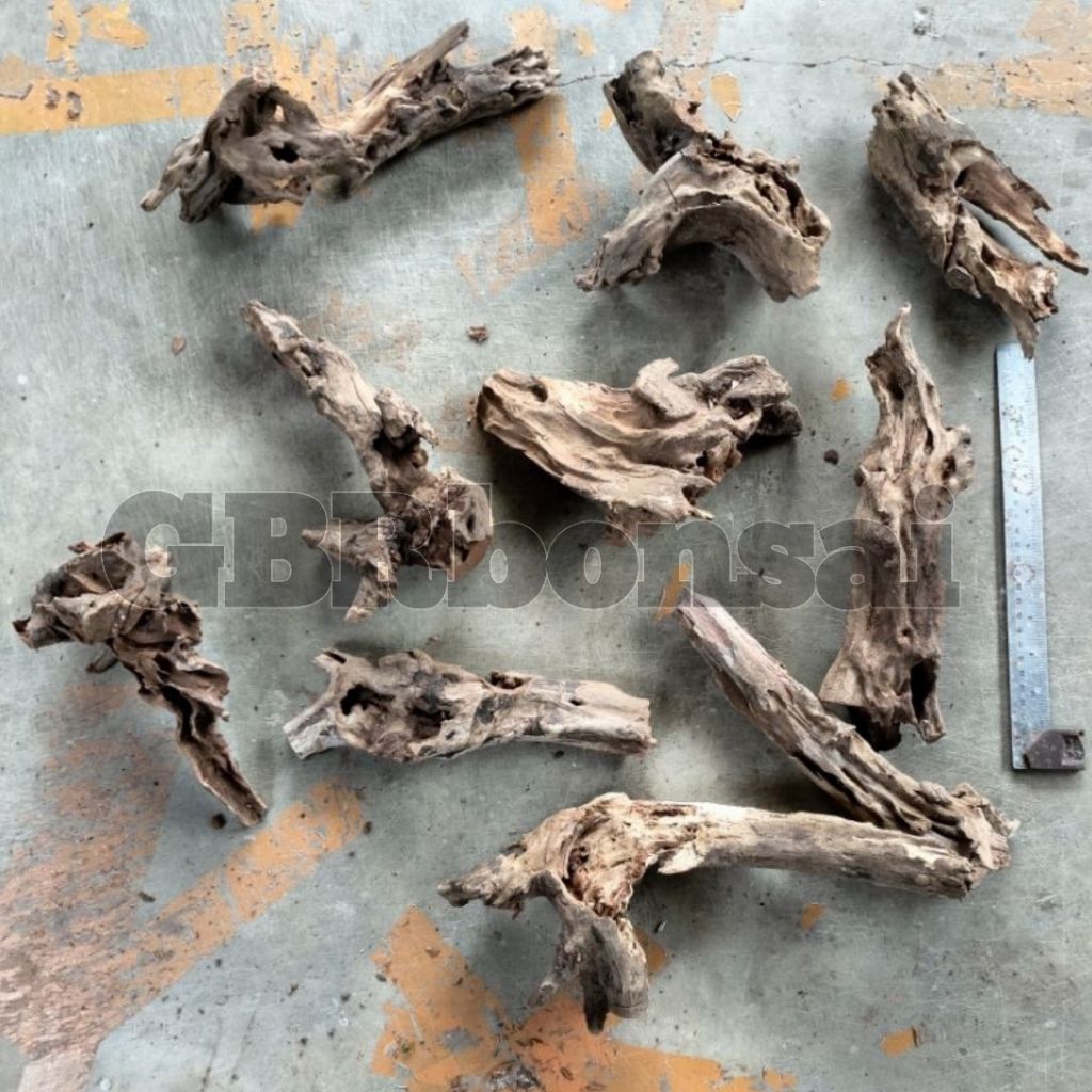 Kayu Rentek Hiasan Aquarium Aquascape Kayu Rentek Murah