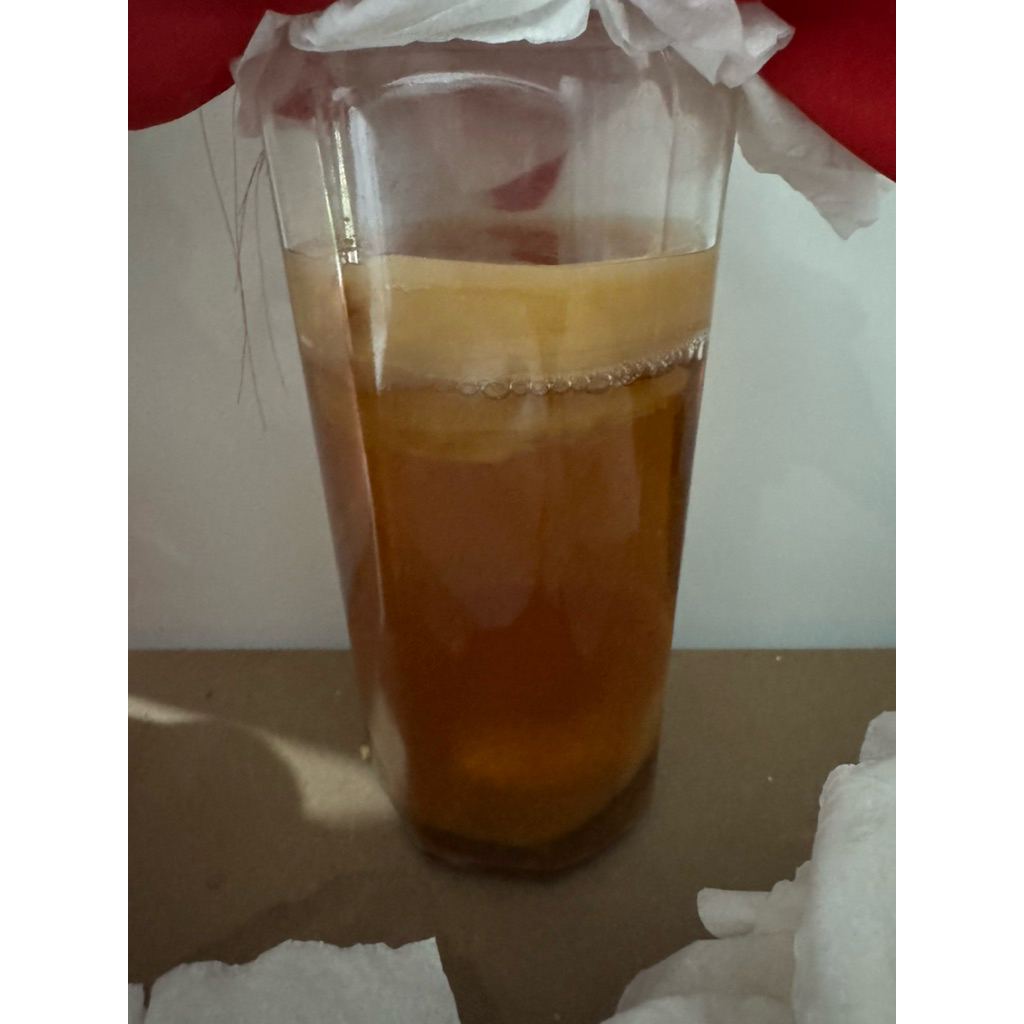 

Starter kombucha (tanpa scoby) 240ml