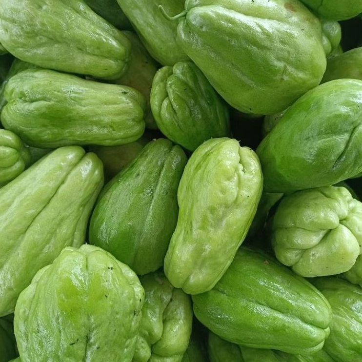 

INSTAN KOTA JAMBI Sayur Labu Siam 500gr